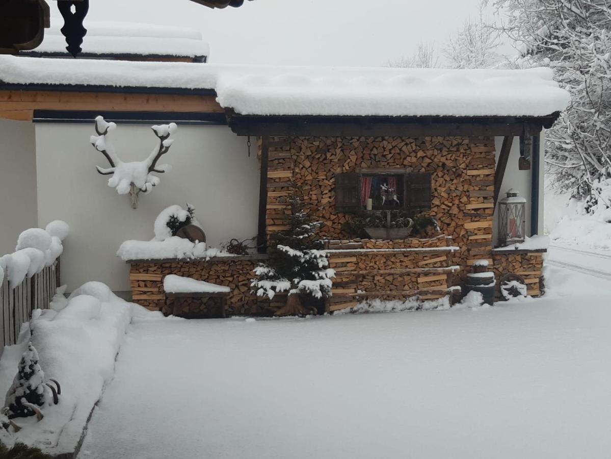 Haus Wildschuetz Lejlighed Hippach Eksteriør billede