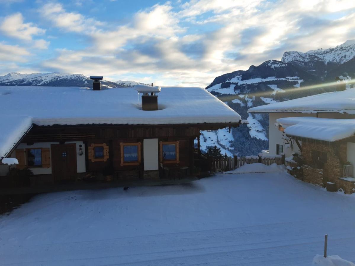 Haus Wildschuetz Lejlighed Hippach Eksteriør billede