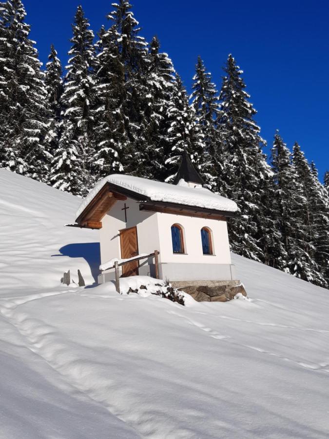 Haus Wildschuetz Lejlighed Hippach Eksteriør billede
